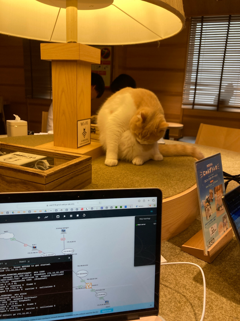 猫2